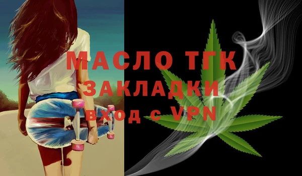 хмурый Аркадак
