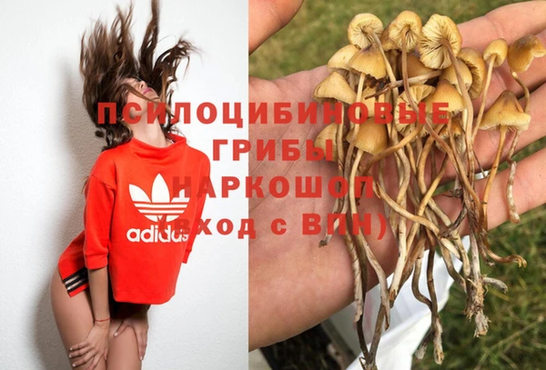 2c-b Балахна