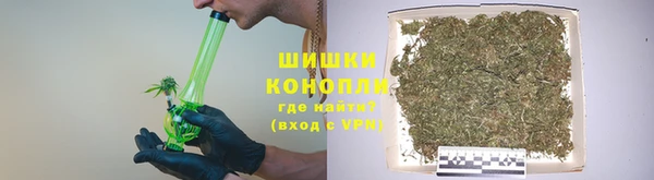 spice Арсеньев