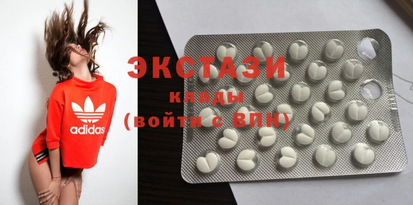 хмурый Аркадак