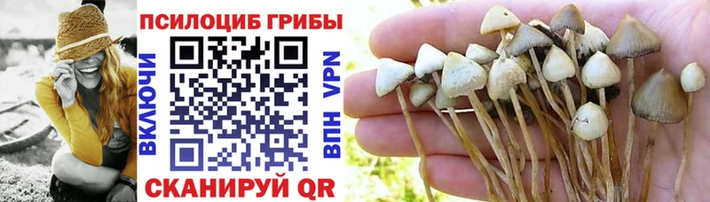цена наркотик  Спасск-Рязанский  Галлюциногенные грибы мухоморы 
